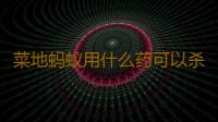 菜地蚂蚁用什么药可以杀死 